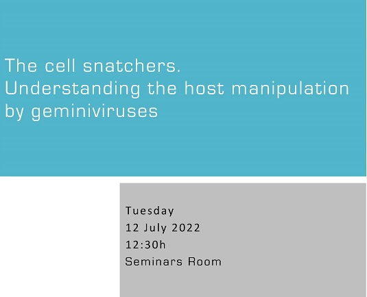 The cell snatchers. Understanding the host manipulation by geminiviruses